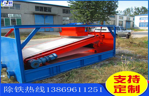 强磁黄瓜视频污免费，威海高强磁黄瓜视频污免费型号_威海高强磁黄瓜视频污免费型号分选运行视频 